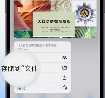 东安apple维修中心分享iPhone文件应用中存储和找到下载文件