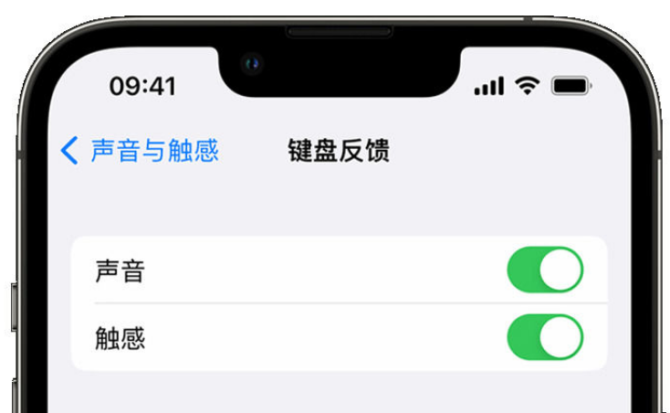 东安苹果手机维修分享iPhone 14触感键盘使用方法 