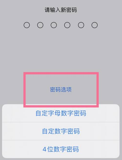 东安苹果14维修分享iPhone 14plus设置密码的方法 