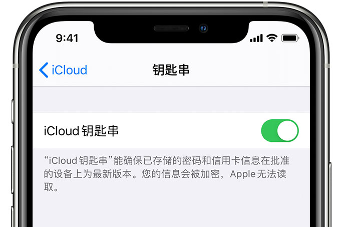 东安苹果手机维修分享在 iPhone 上开启 iCloud 钥匙串之后会储存哪些信息 