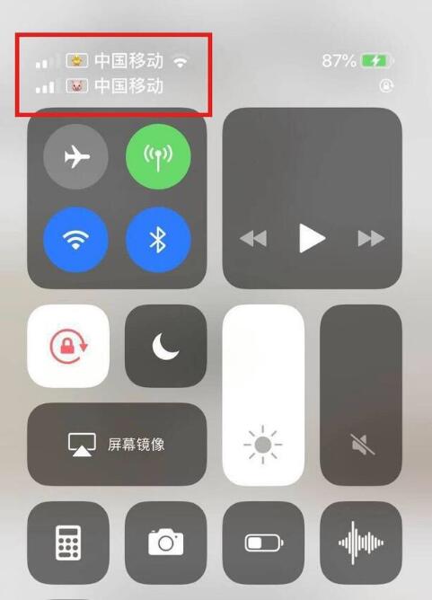 东安苹果手机维修分享为 iPhone 12 双卡设置标签 